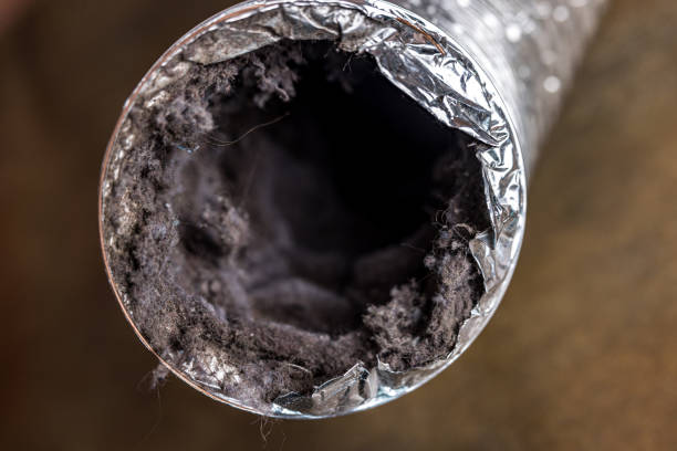 Best Professional Duct Cleaning Services  in Fortville, IN